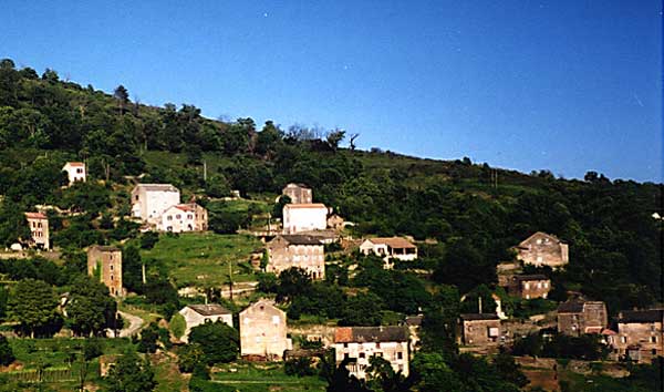 Photos de la Corse zuani_verdure Paysage Corse